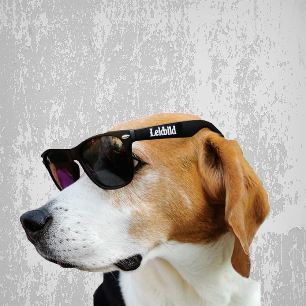 Leidbild Sonnenbrille